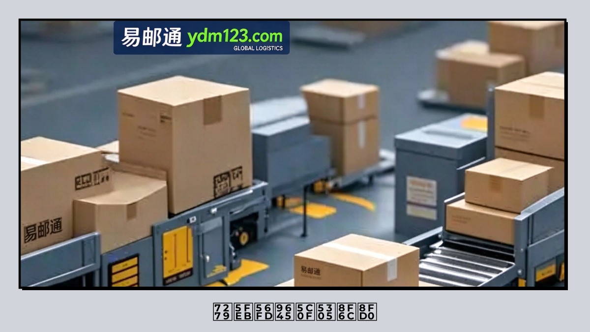 特快国际小包转运