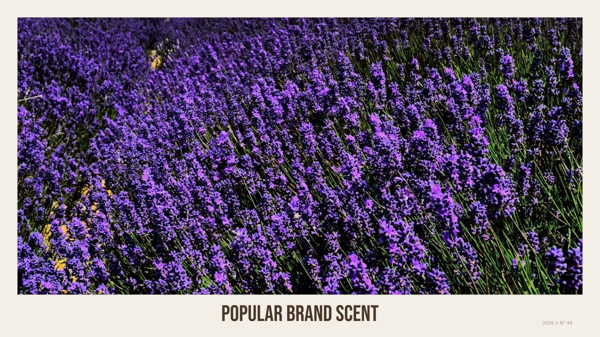 popular brand scent